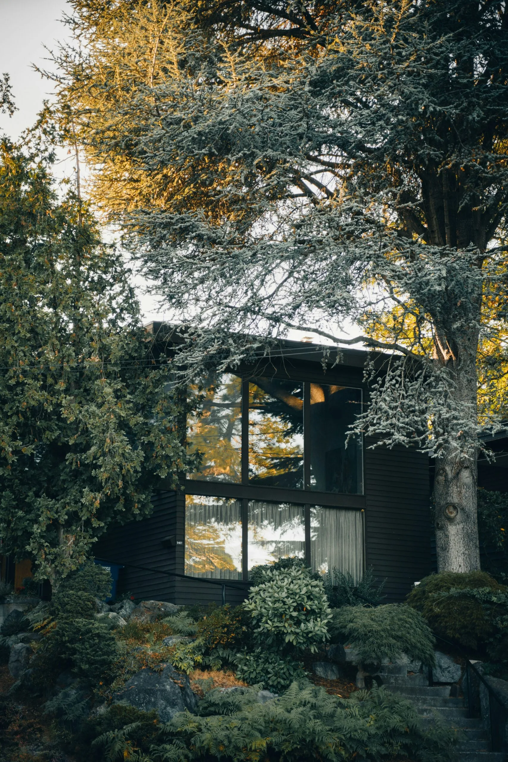Photo by Peter Thomas on Unsplash