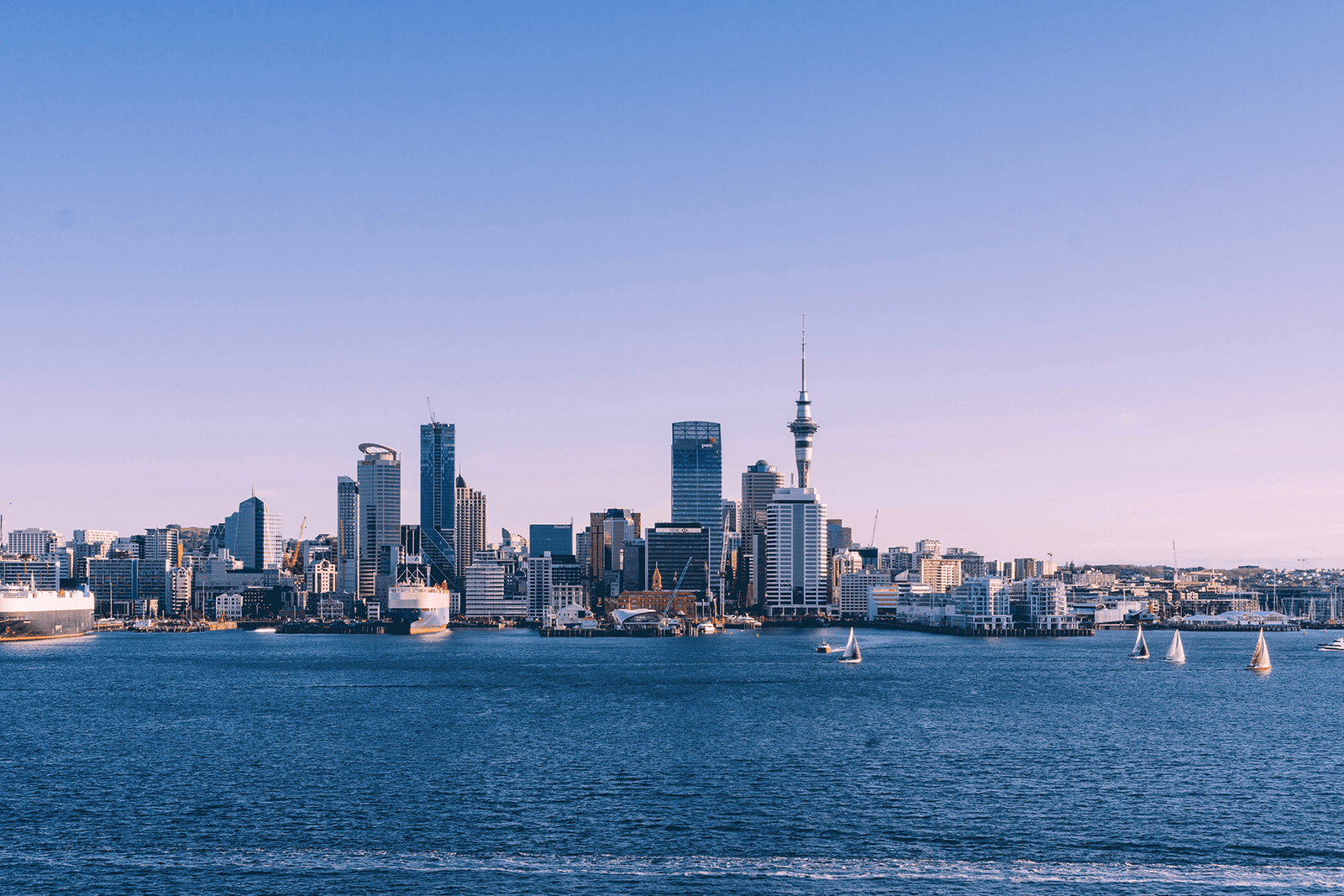 Auckland on a clear day. Photo by Sulthan Auliya on Unsplash