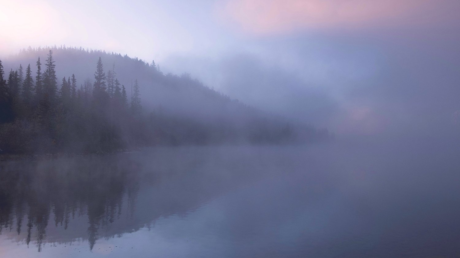 A foggy lake with trees on the shore. Photo credit Anna Goncharova on Unsplash.